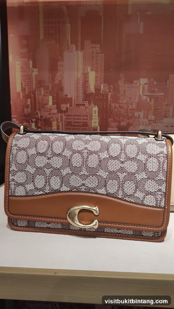 Coach Shoulder Bag