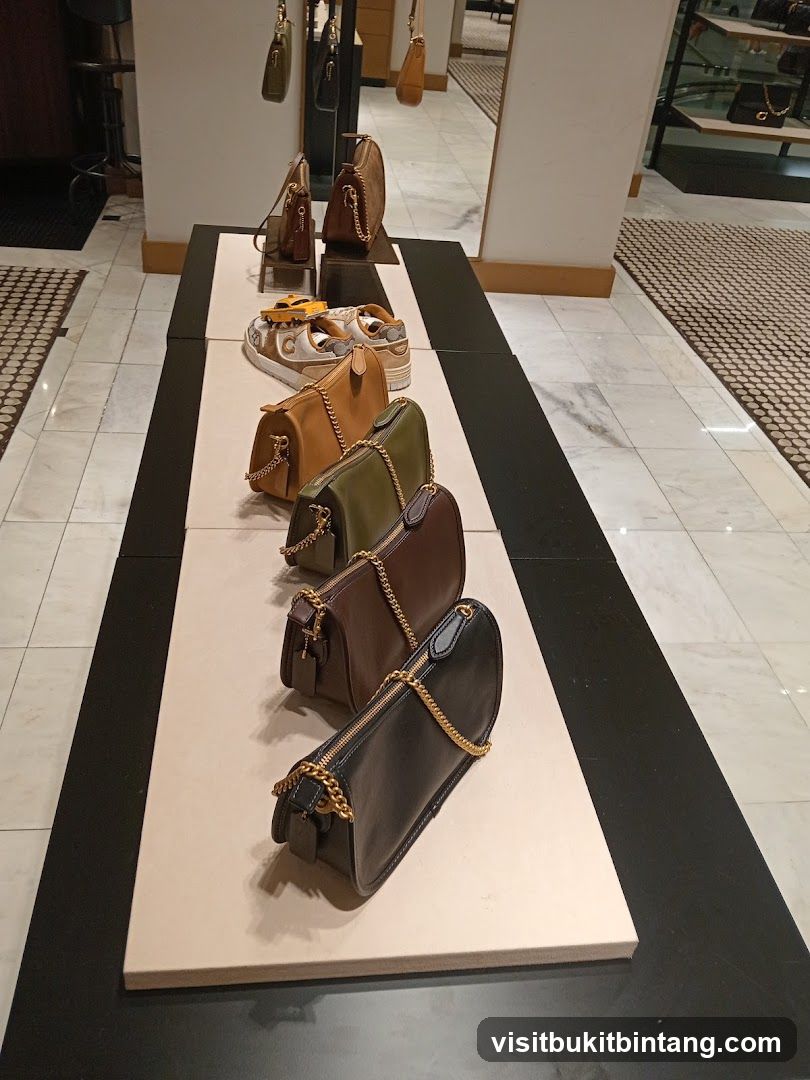 Handbags and Shoes Display