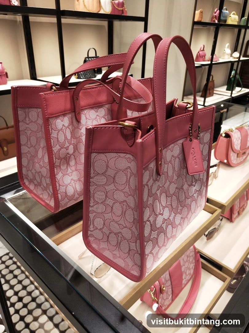 Coach Handbags