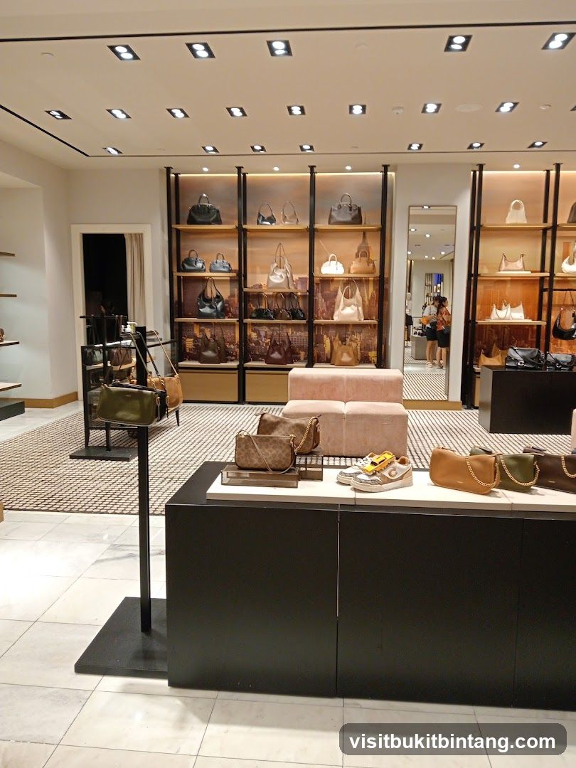 Handbag and Shoe Display