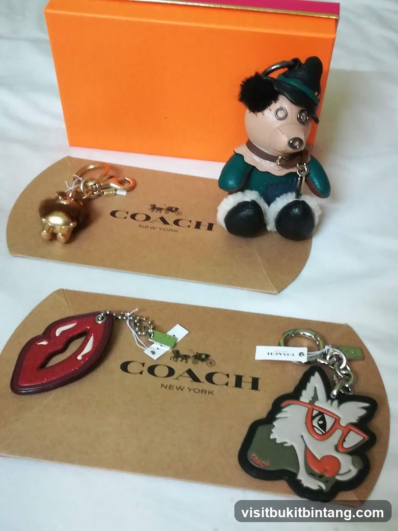 Coach Keychains