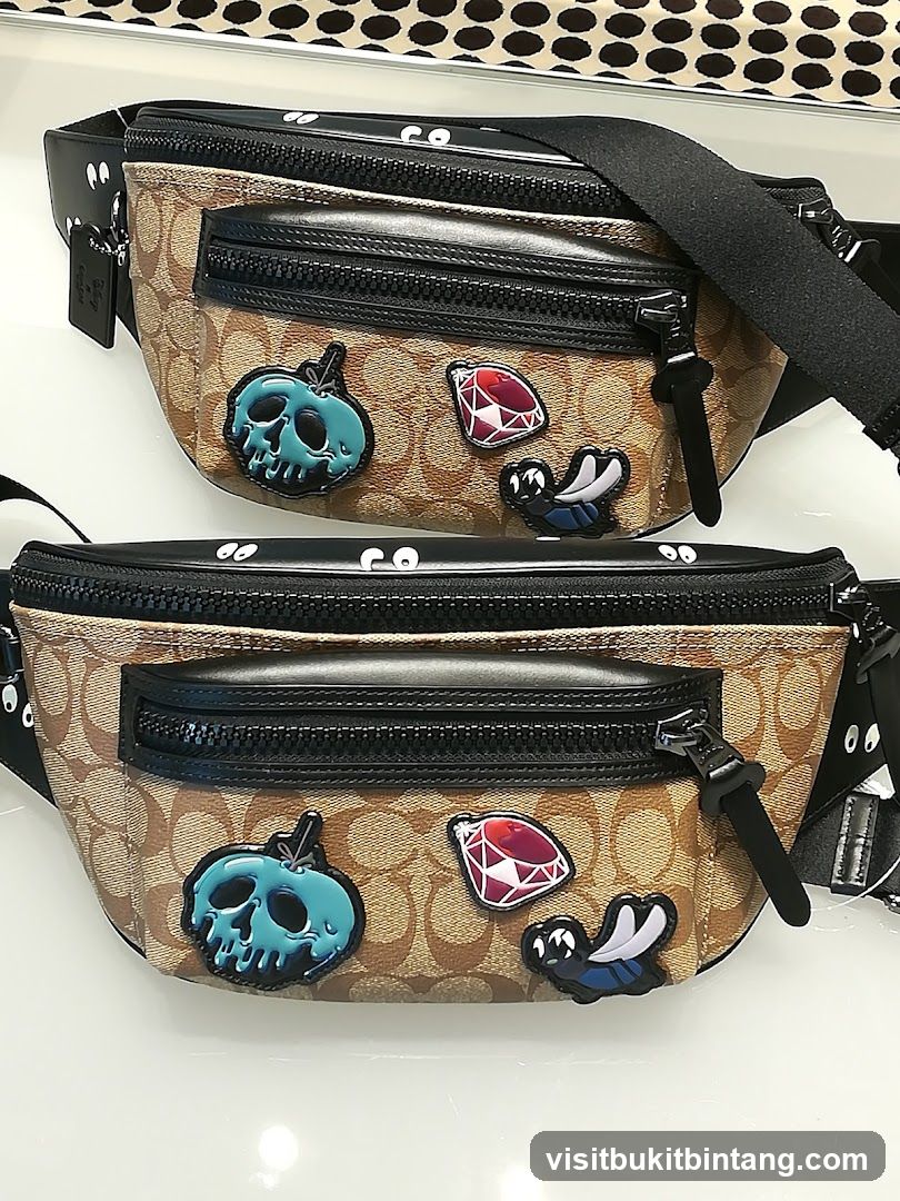 Coach Belt Bags