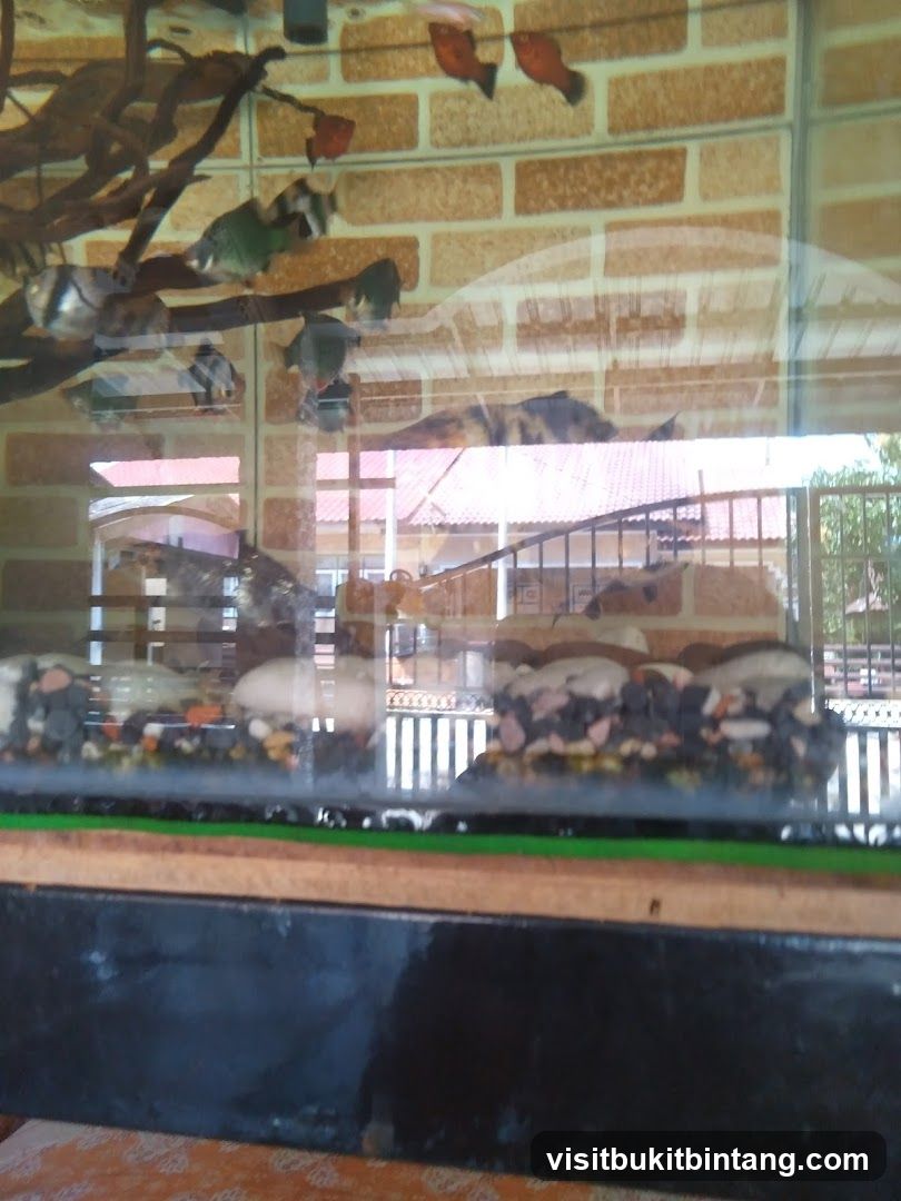 Fish Tank with Tropical Fish