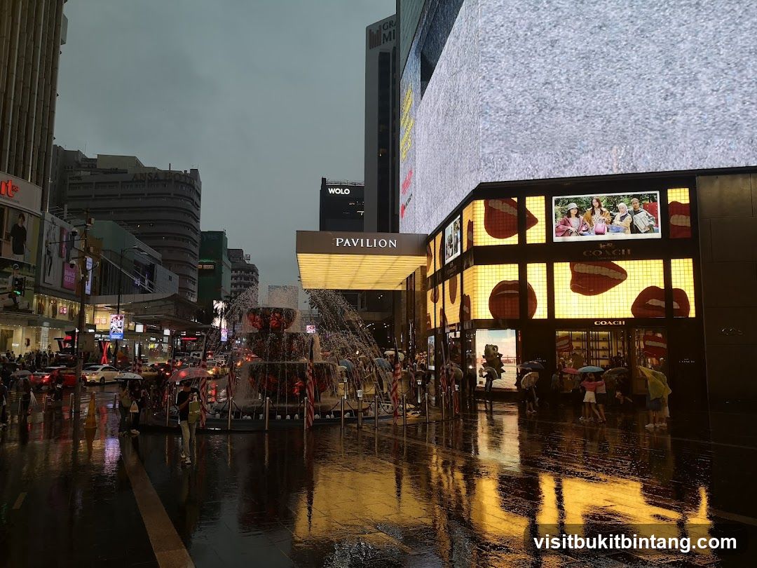 Rainy street with fountain and illuminated buildings