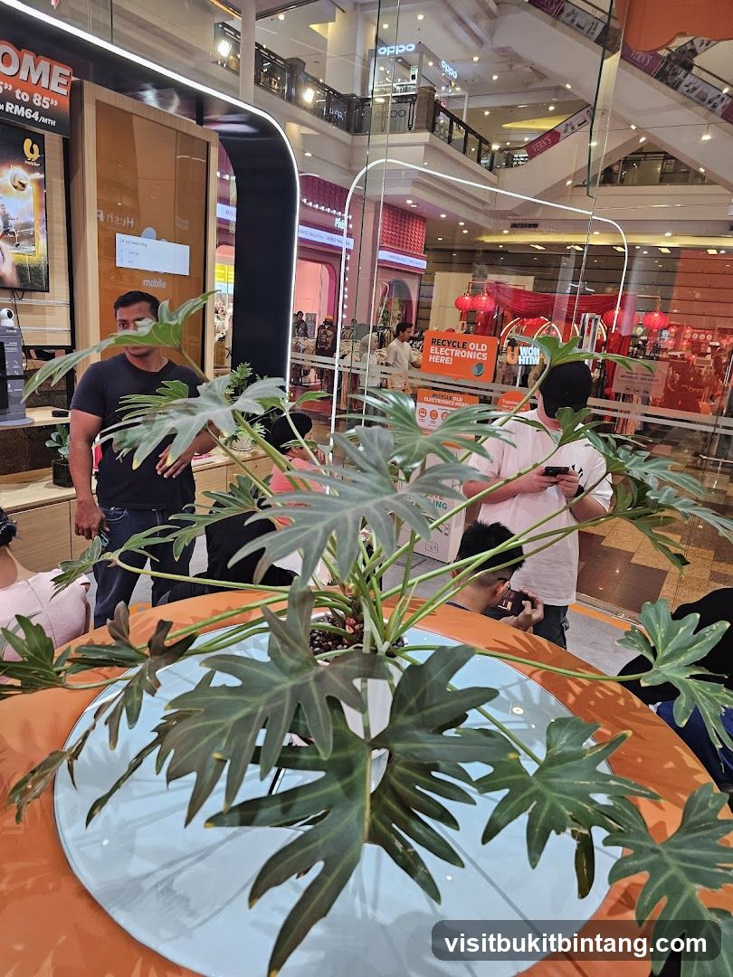 Indoor plant display in a mall