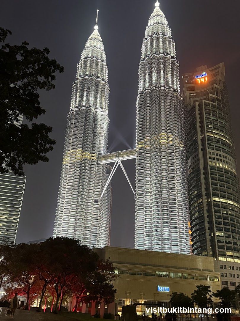 Petronas Towers at Night