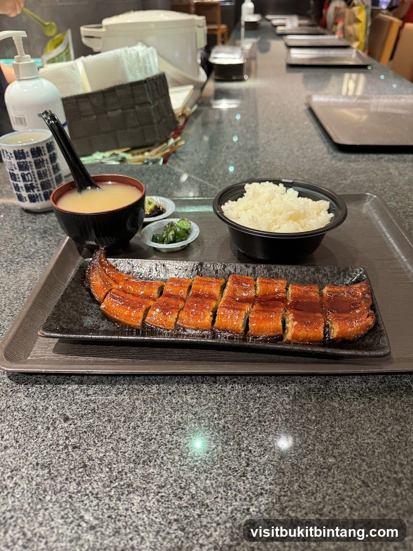 Unagi Donburi Meal