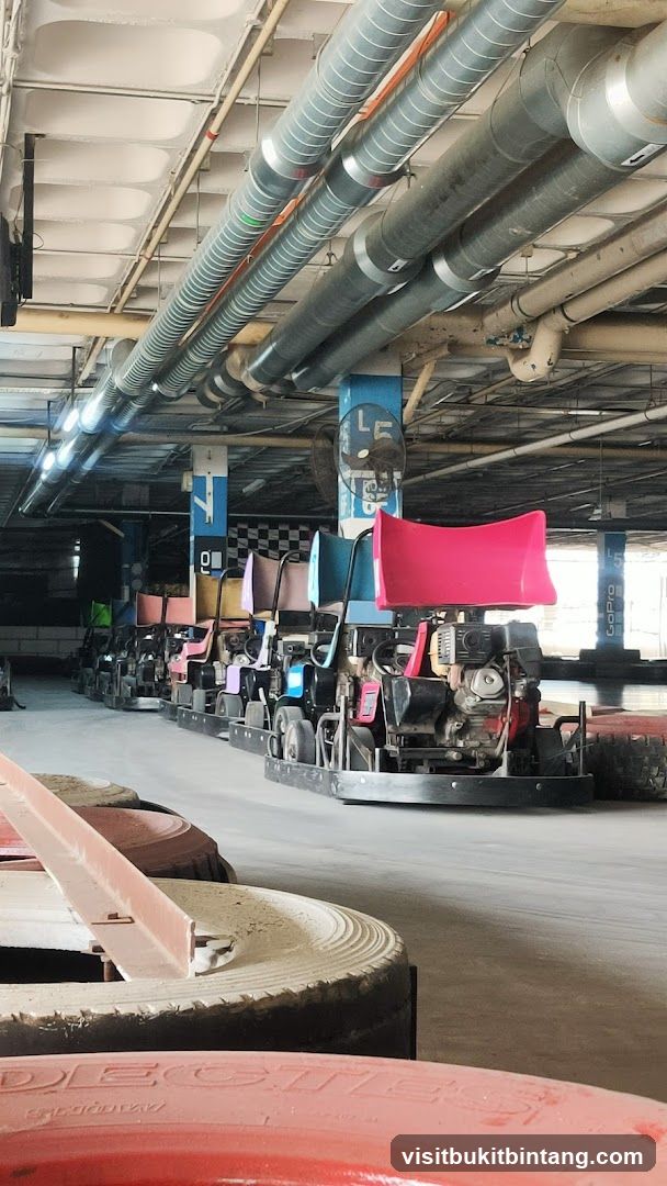 Go-Karts Lined Up