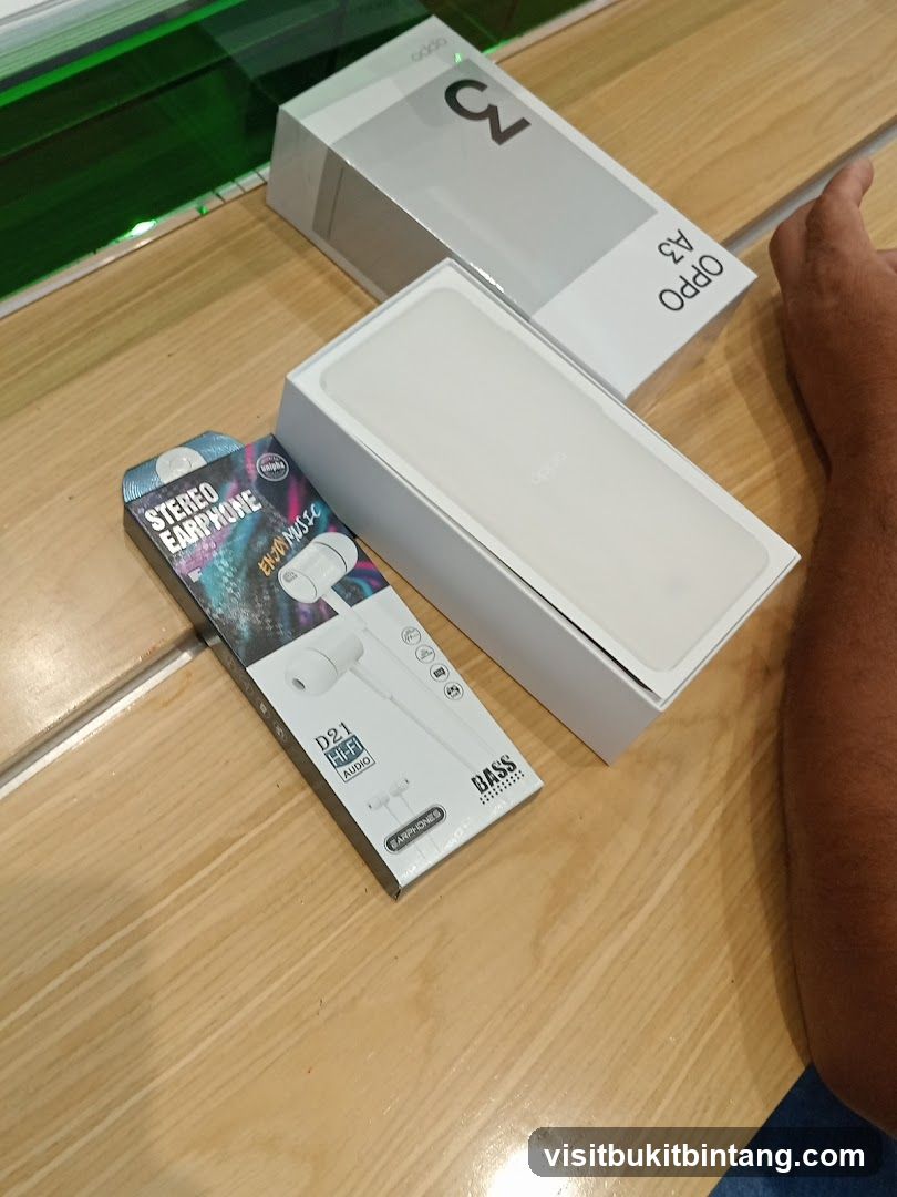 Oppo A3 Phone and Earphones