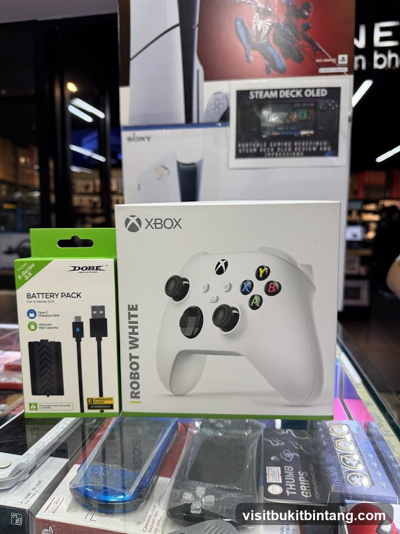 Video Game Accessories