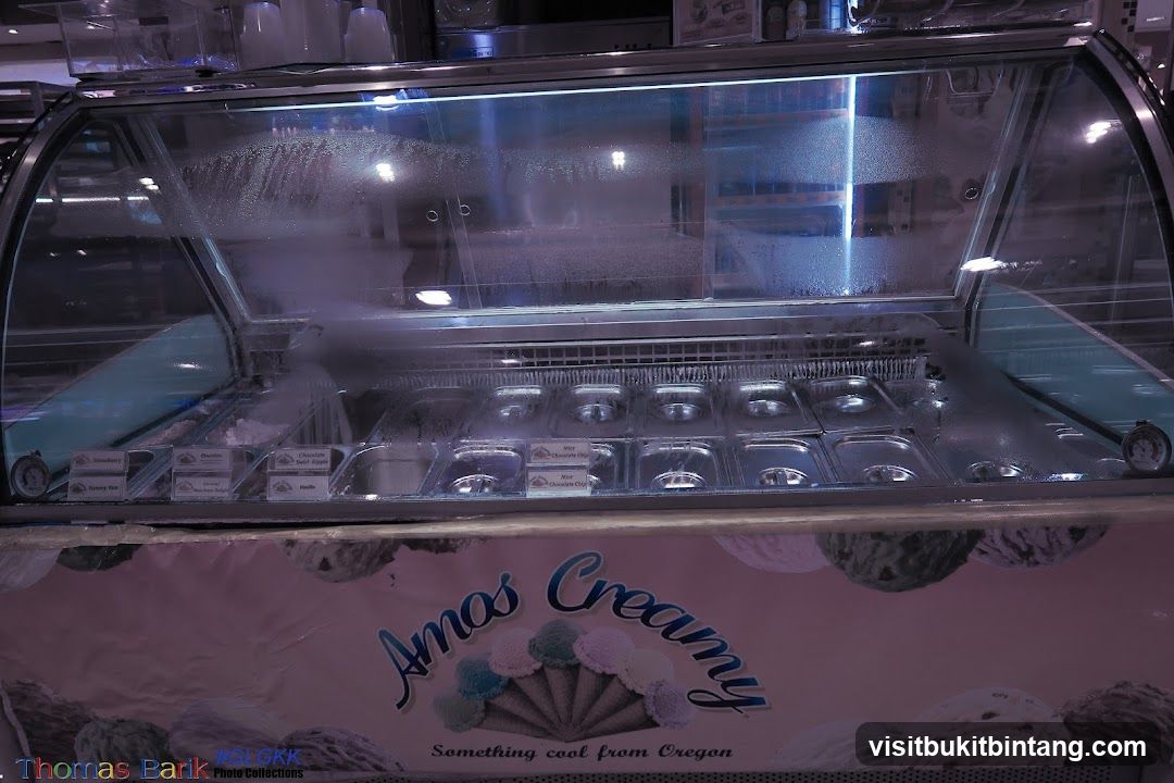Ice Cream Display Case