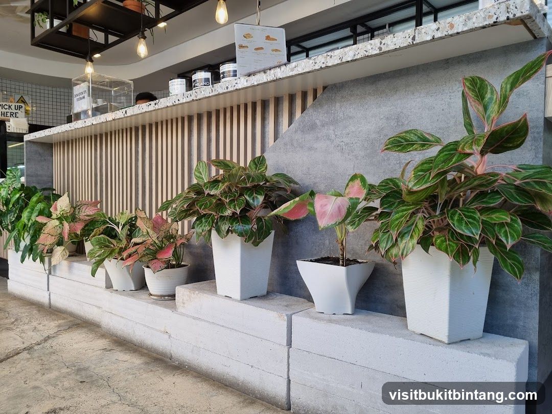 Counter with plants
