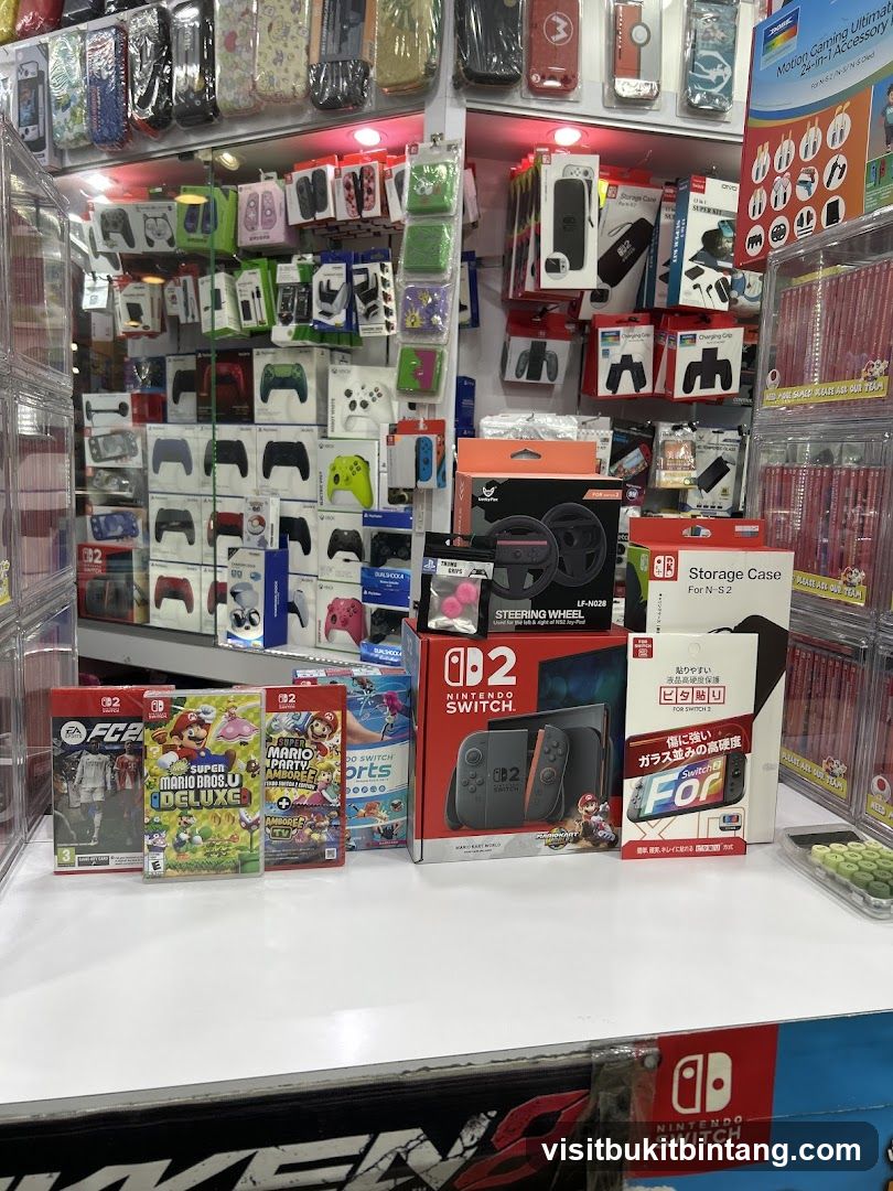 Video Game Accessories