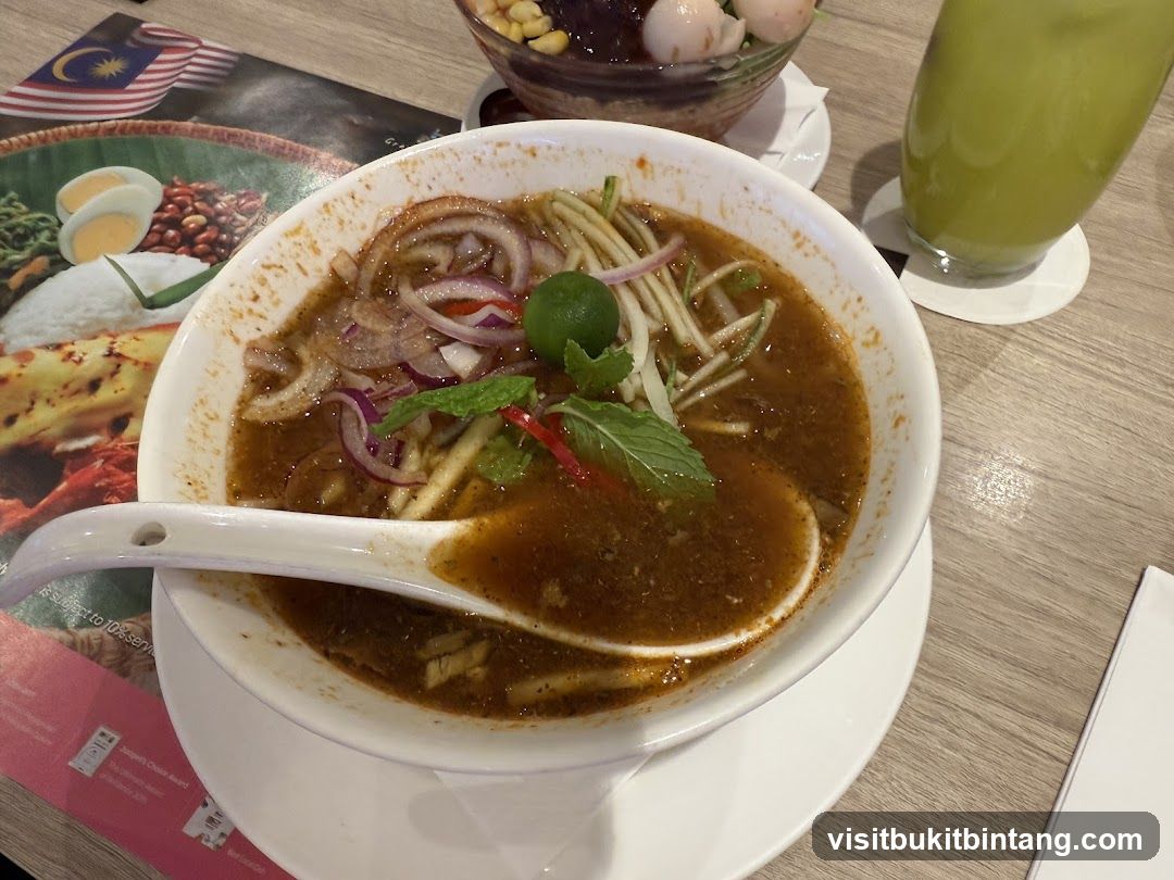 Malaysian Noodle Soup