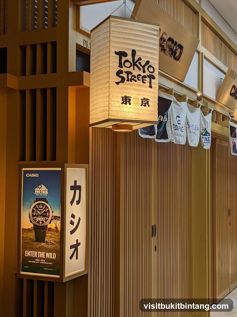Tokyo Street Lantern and Casio Advertisement