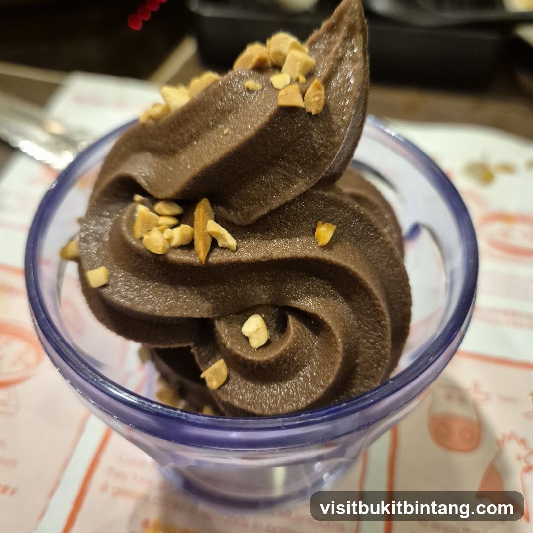 Chocolate Soft Serve Ice Cream with Peanuts