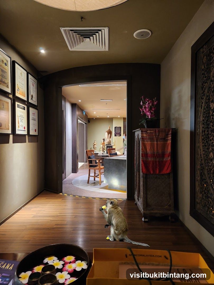 Spa Interior with Monkey