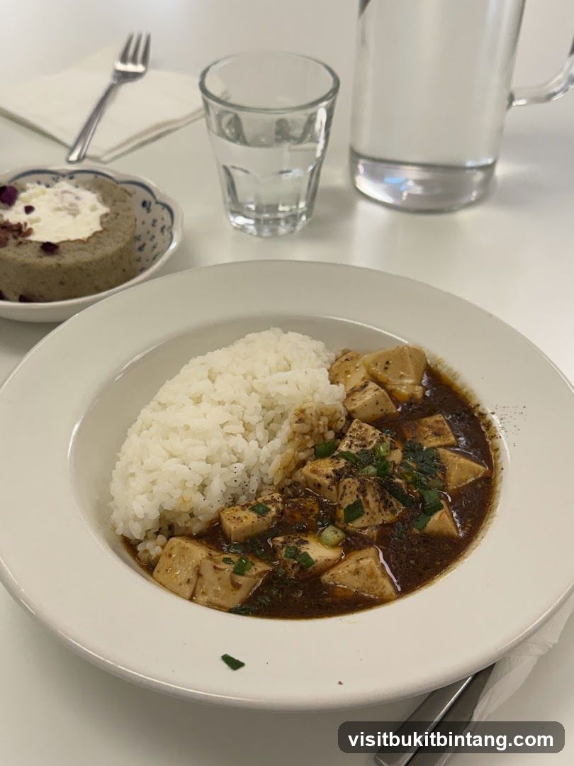 Mapo Tofu with Rice