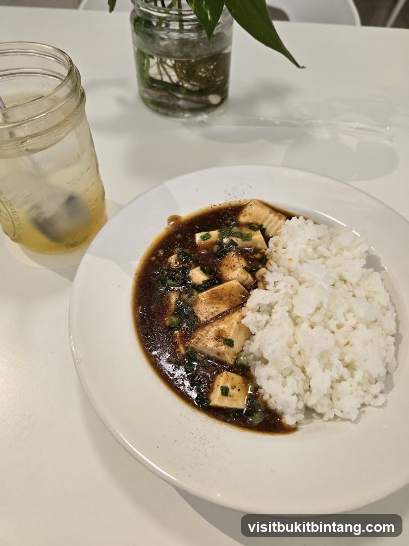 Mapo Tofu with Rice