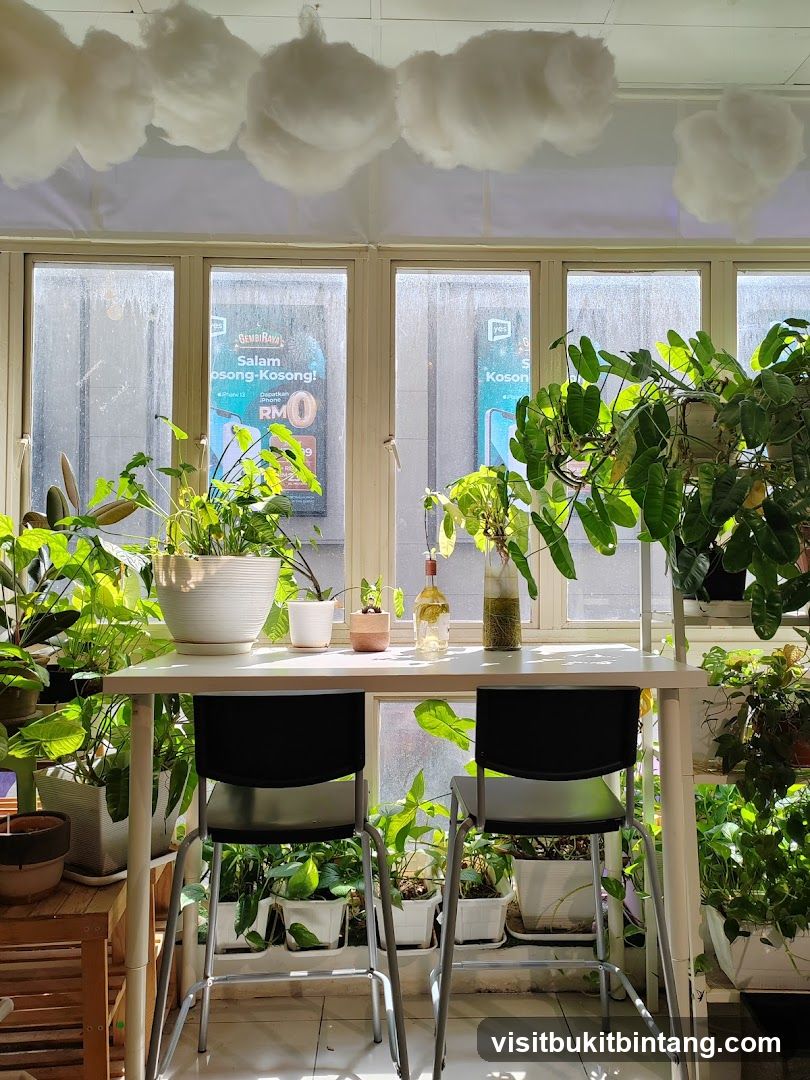 Indoor plant display with table and chairs