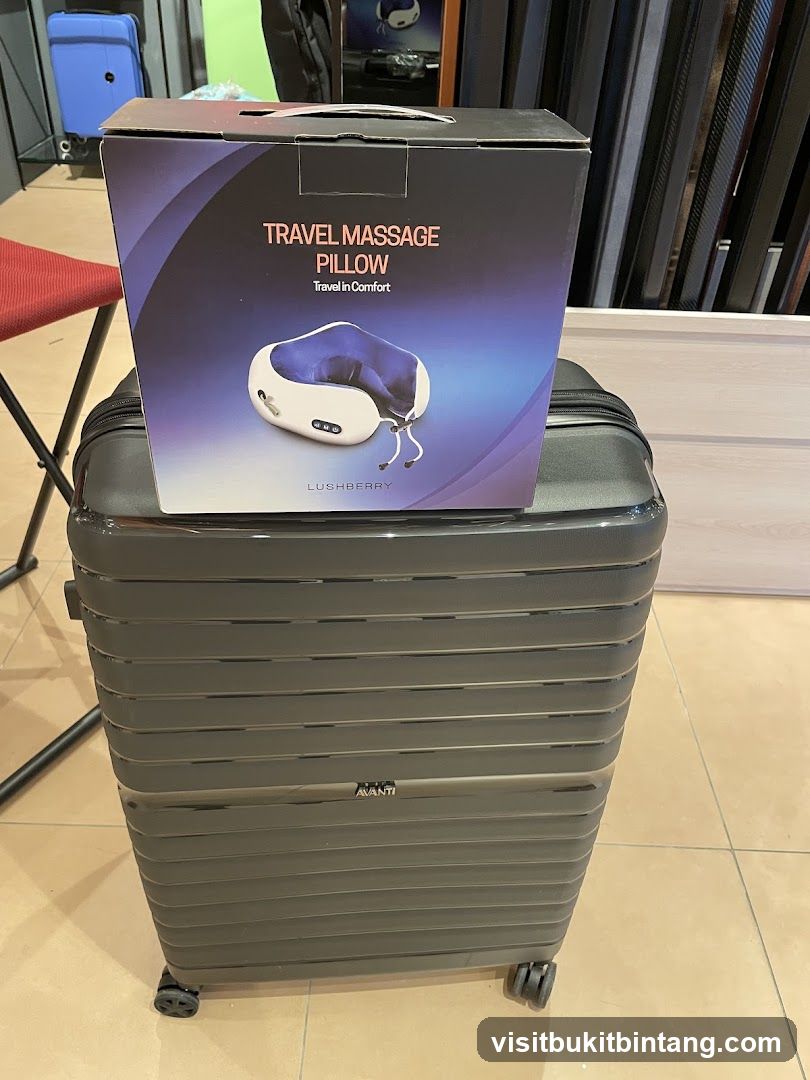 Travel Massage Pillow and Suitcase