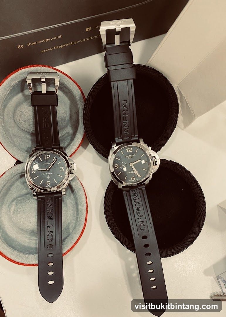 Two Panerai Watches