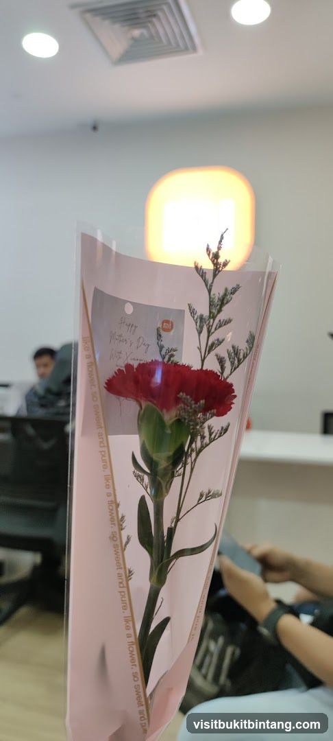 Mother's Day Flower