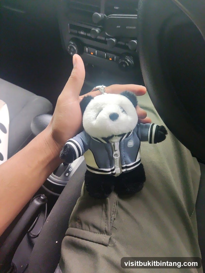 Panda keychain in a car