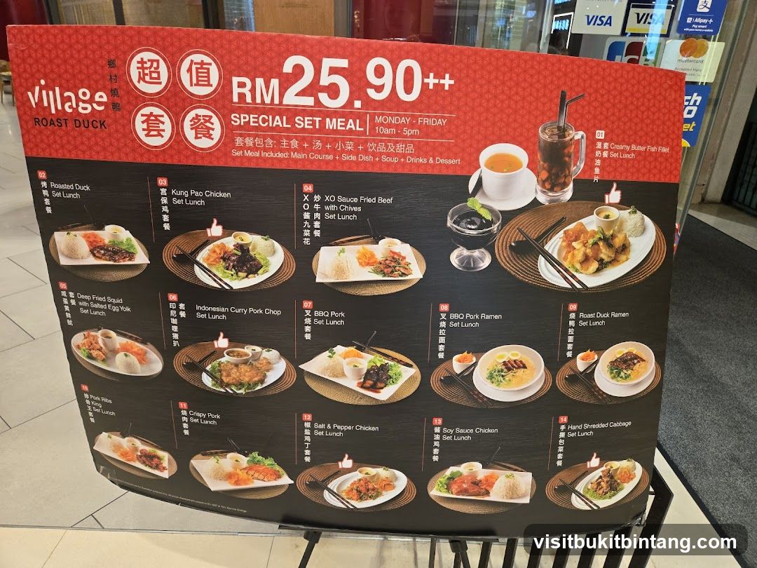 Village Roast Duck Special Set Meal