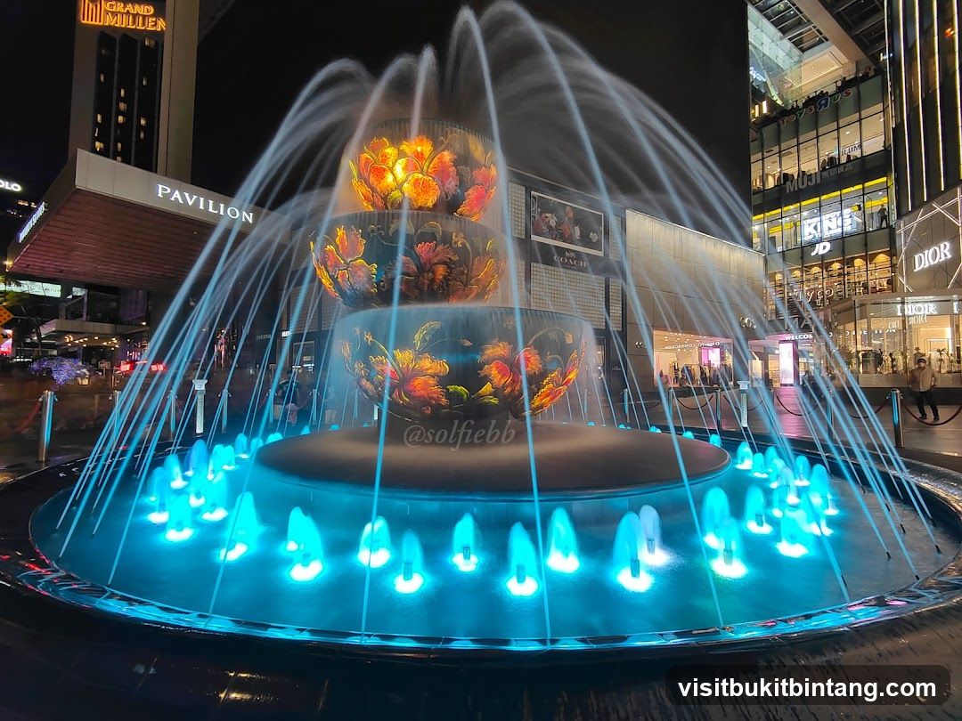 Fountain at night