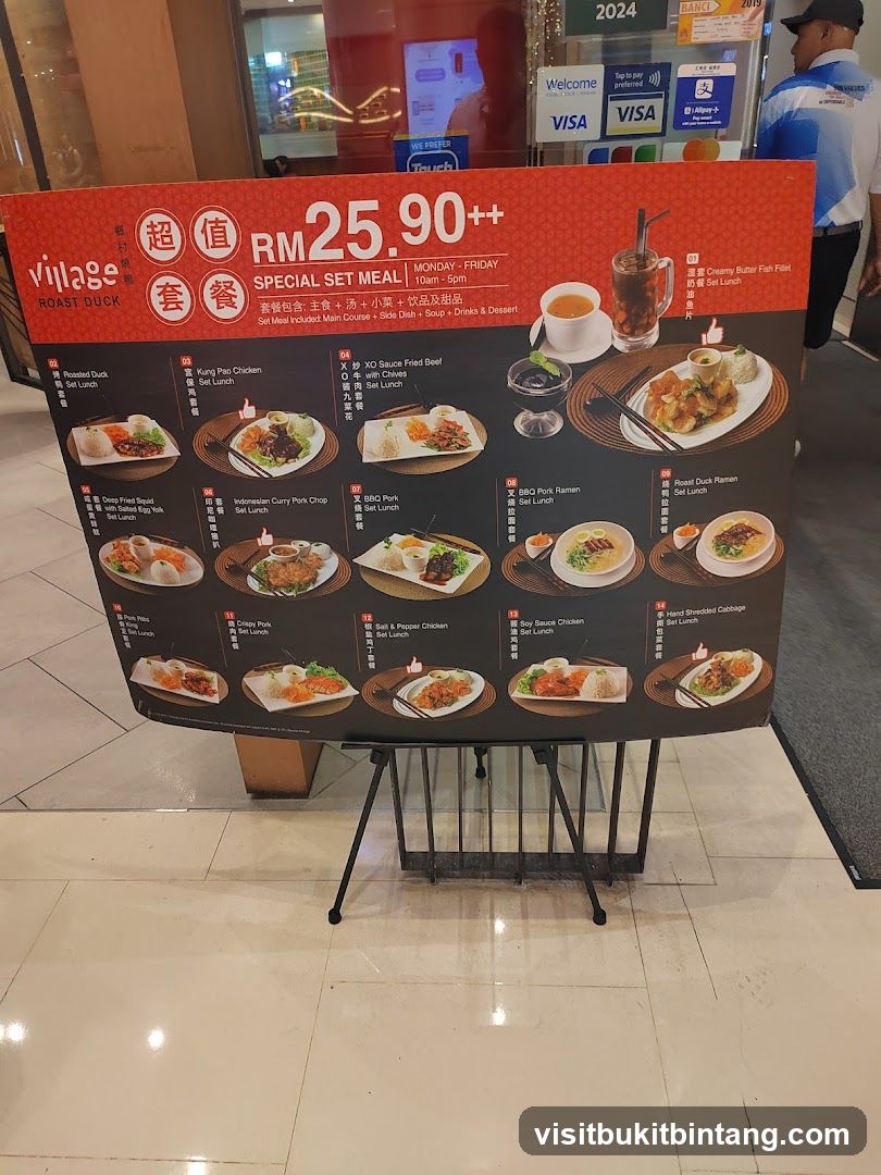 Village Roast Duck Special Set Meal
