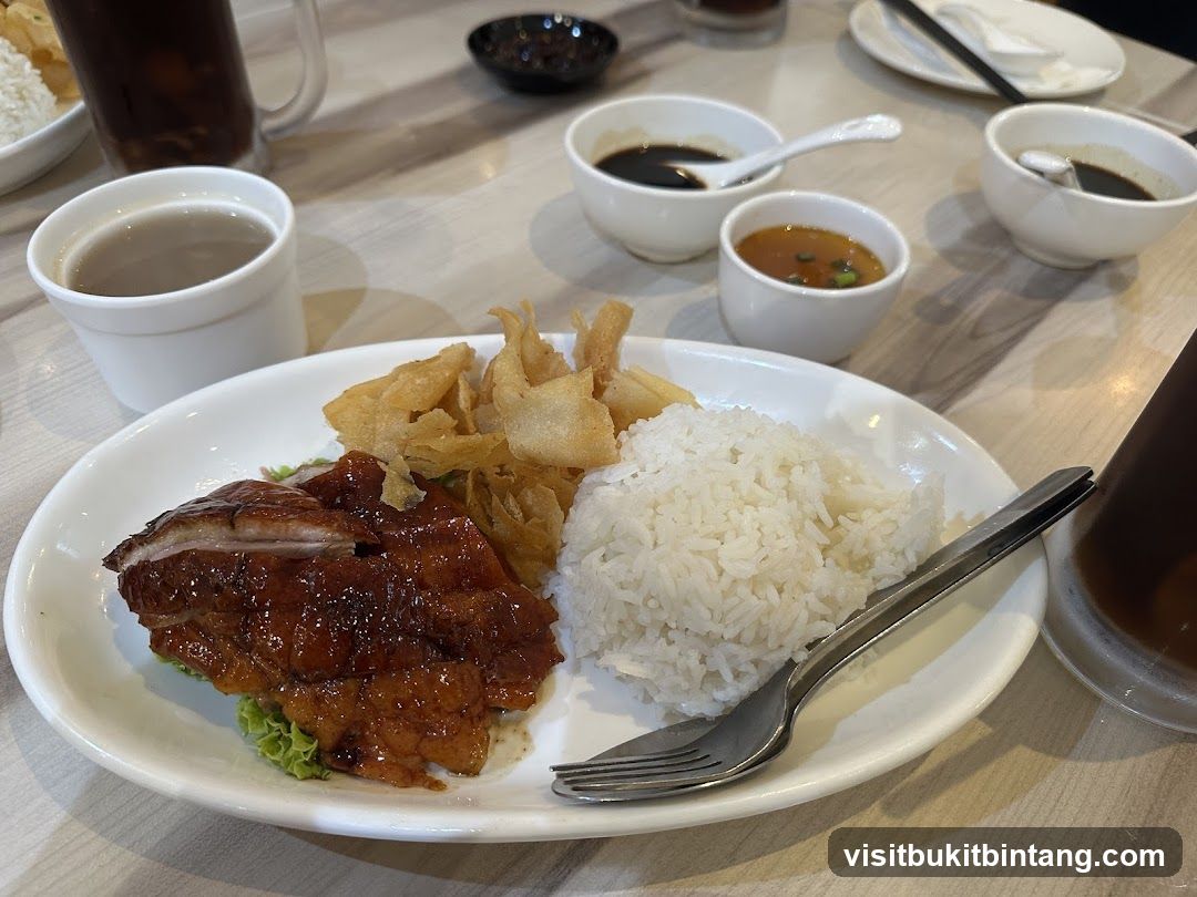Roast Duck Rice