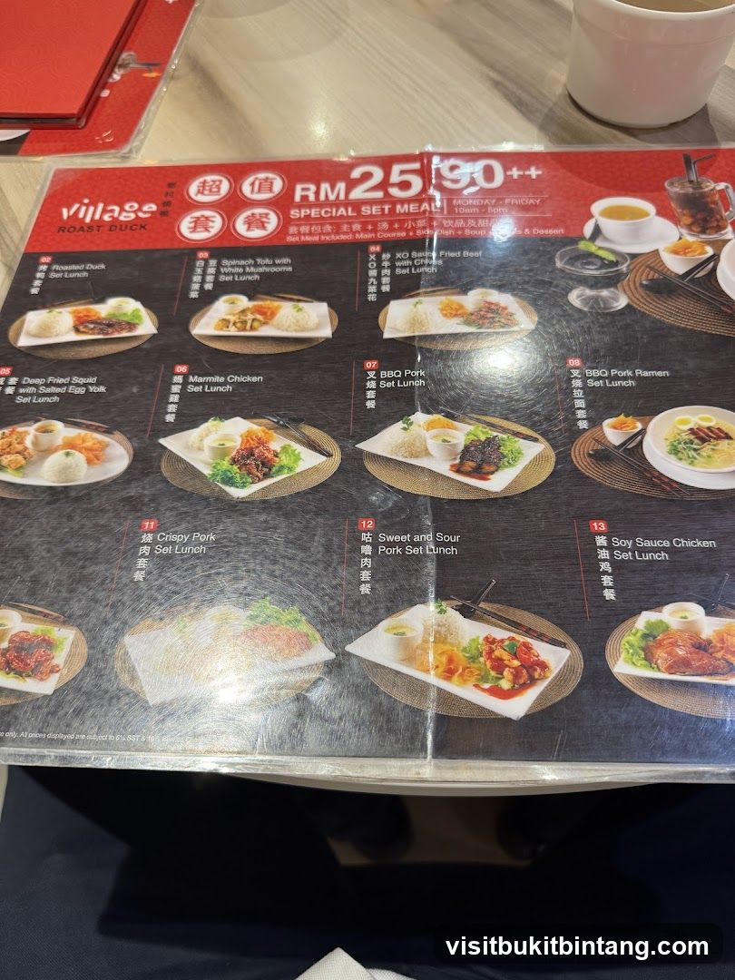 Village Roast Duck Special Set Meal