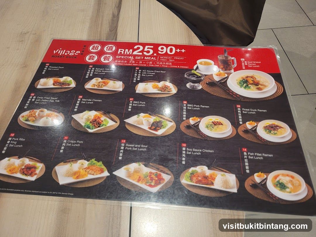 Village Roast Duck Special Set Meal