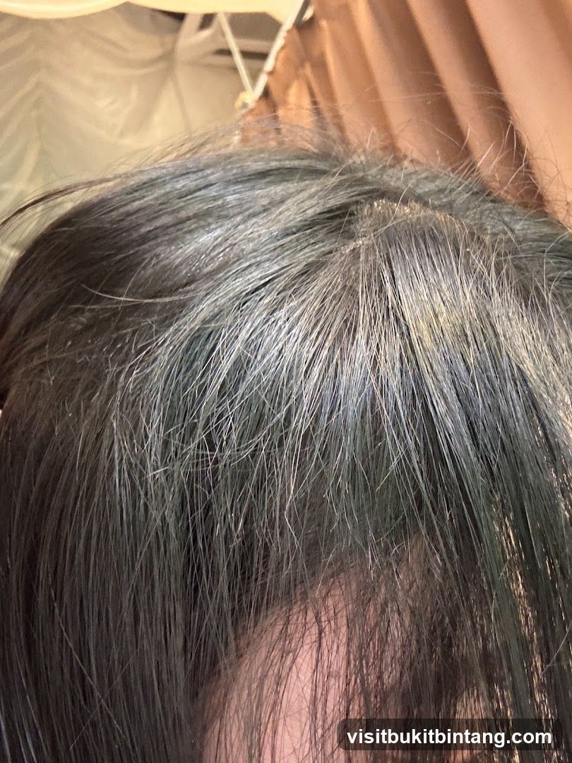 Close-up of dark hair