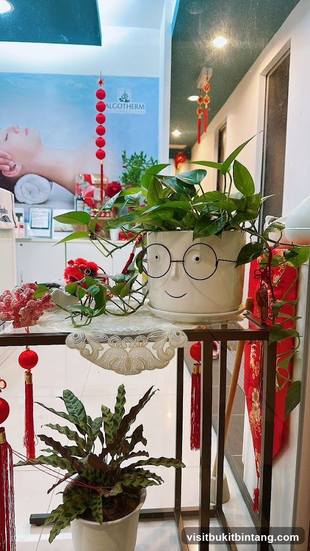 Interior decoration with plants and festive ornaments