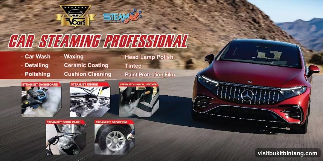 Car Steaming Professional Services