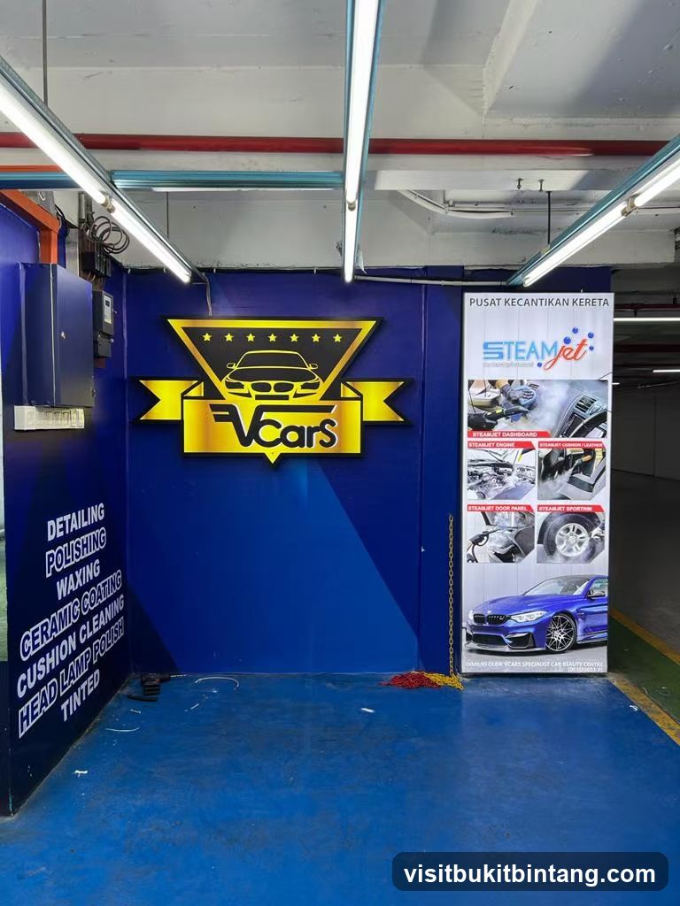 Car Detailing and Steam Cleaning Services