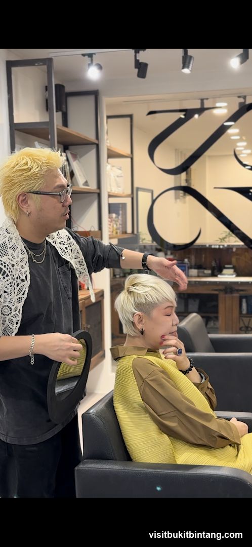 Hairdresser consulting with client