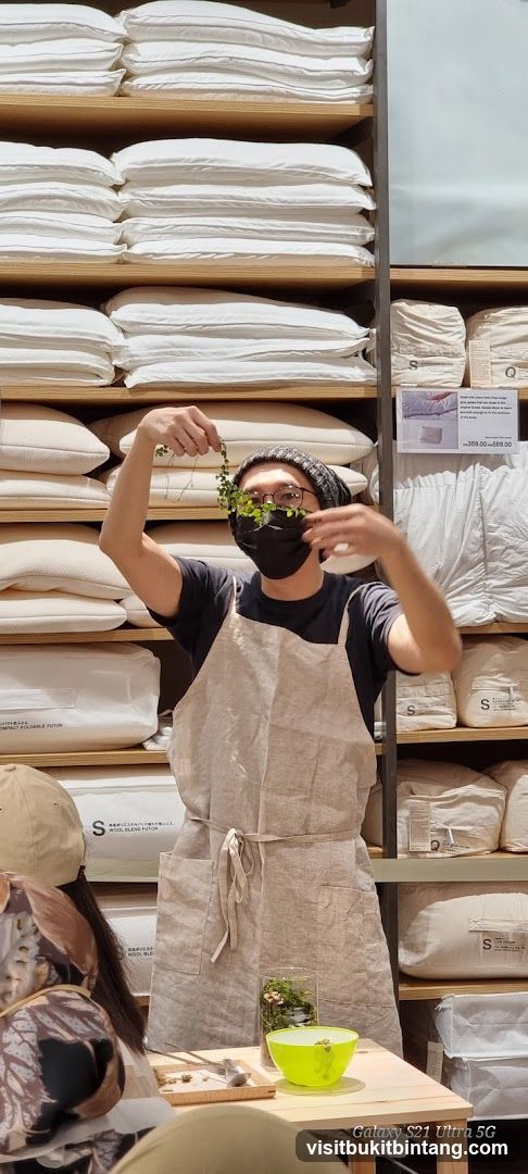 Person holding a plant in a store