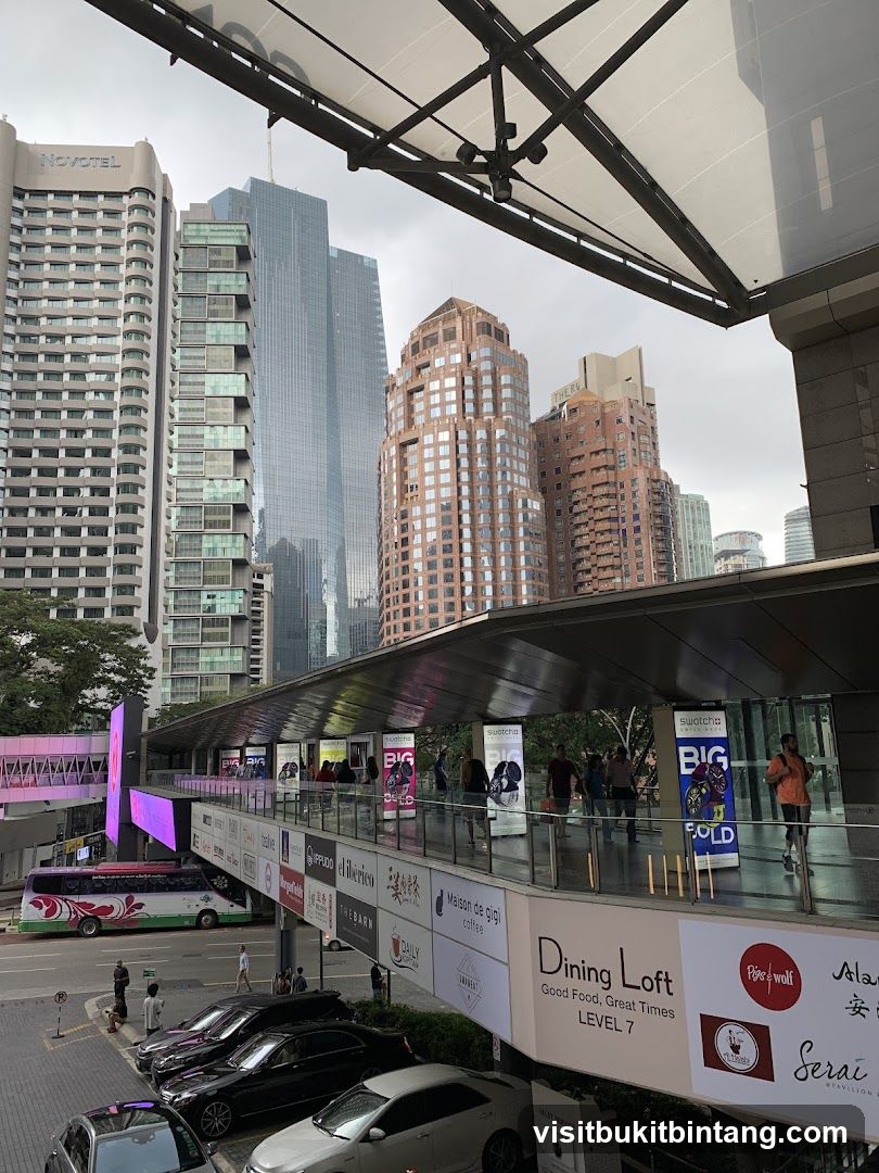 Cityscape with Elevated Walkway