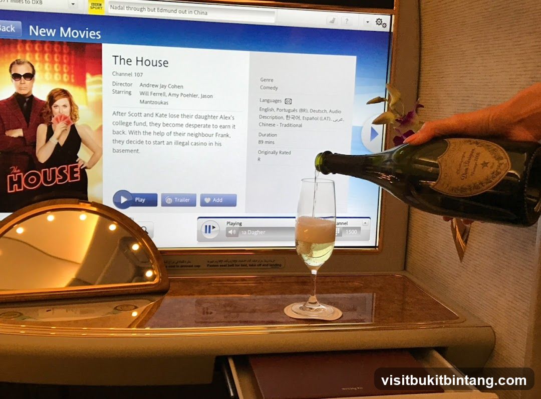 In-flight entertainment with champagne
