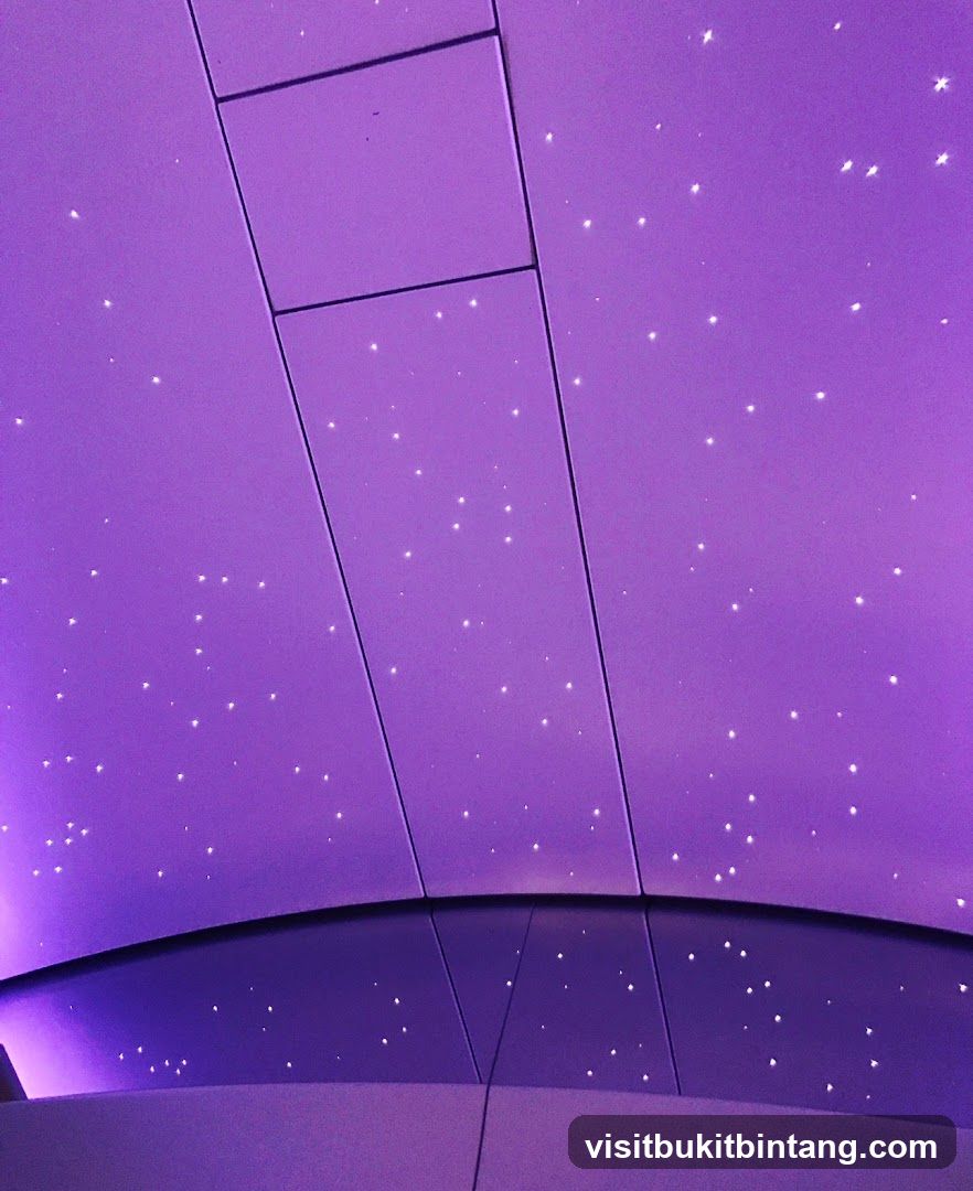 Starry Ceiling