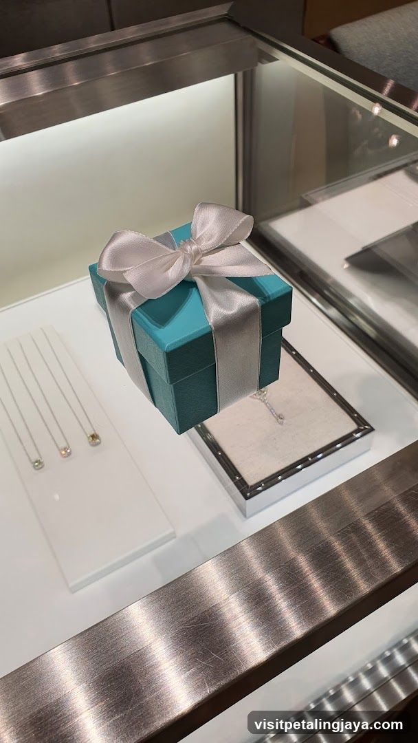Jewelry Display Case