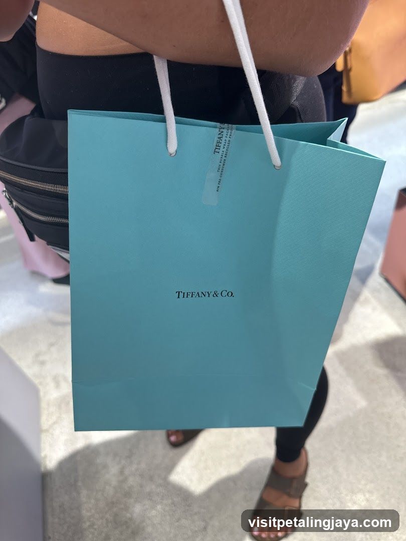 Tiffany & Co. Shopping Bag