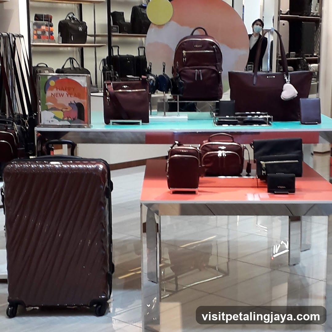 Travel Accessories Display