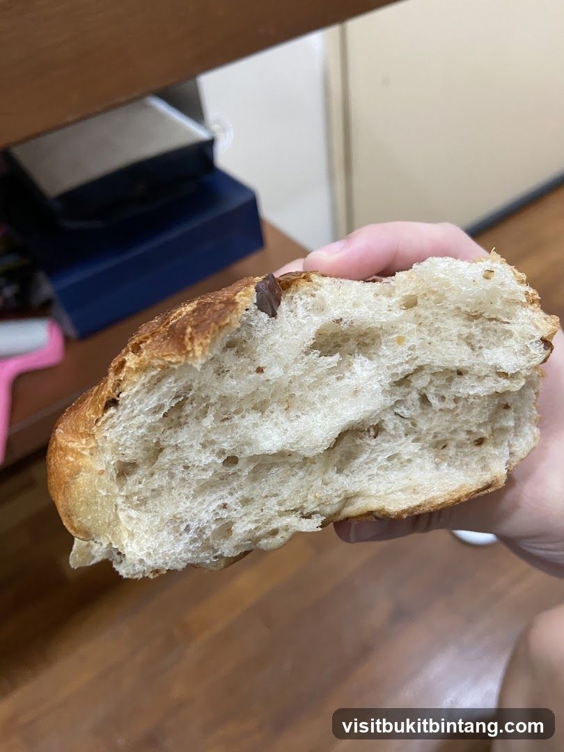 Close-up of a hand holding a piece of bread