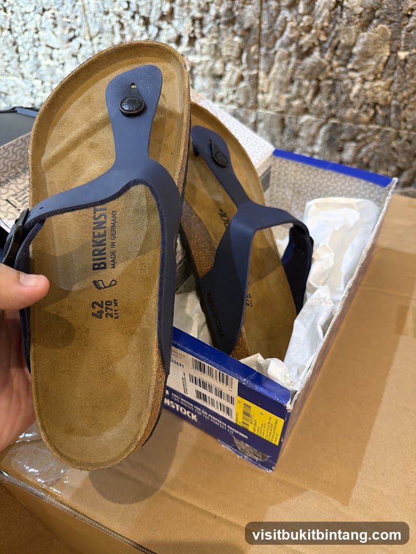 Birkenstock Sandals in Box