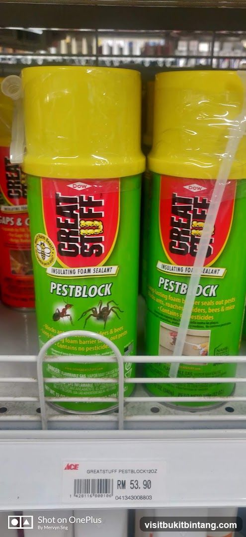 Great Stuff Pestblock Insulating Foam Sealant