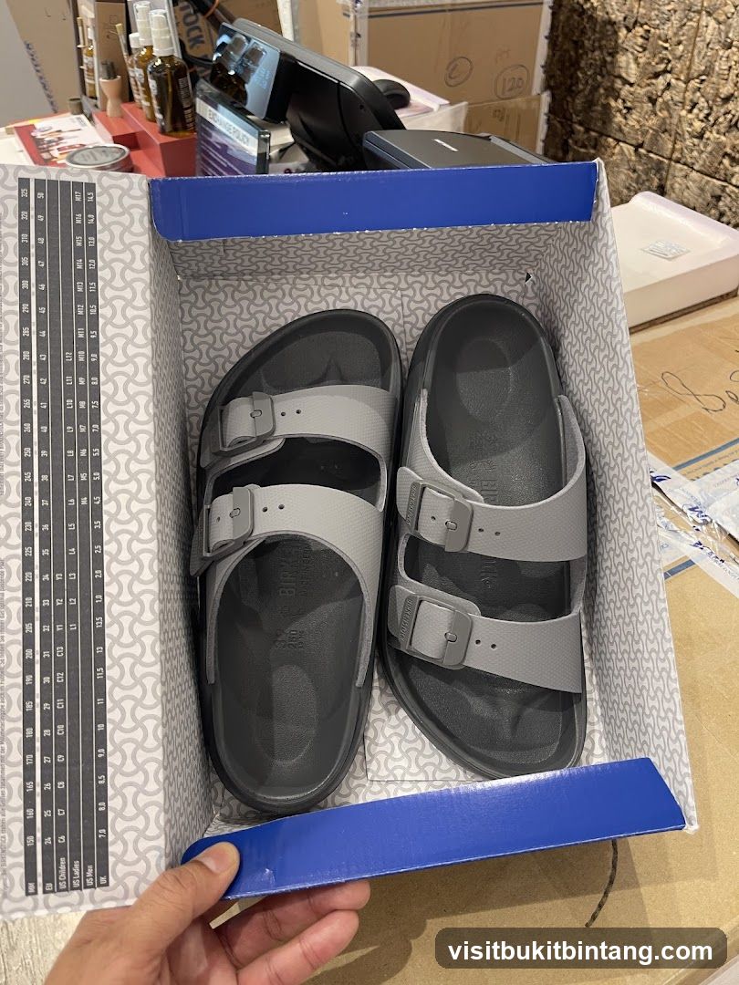 Birkenstock Sandals in Box